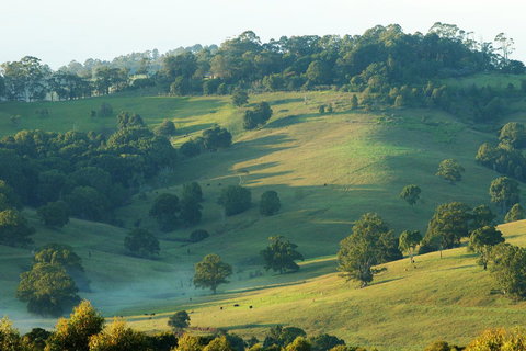 SummerHills Retreat Byron Bay - Accommodation in Surfers Paradise 20