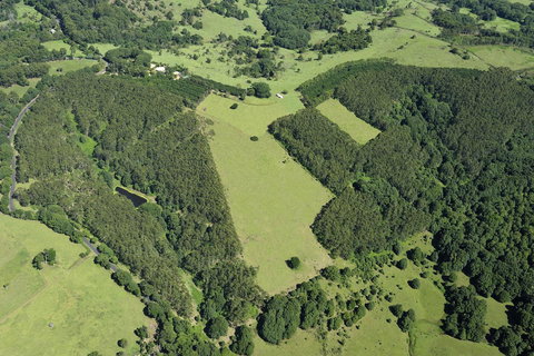 SummerHills Retreat Byron Bay - Accommodation in Surfers Paradise 19