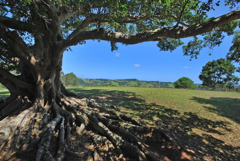 SummerHills Retreat Byron Bay - Accommodation in Surfers Paradise 8