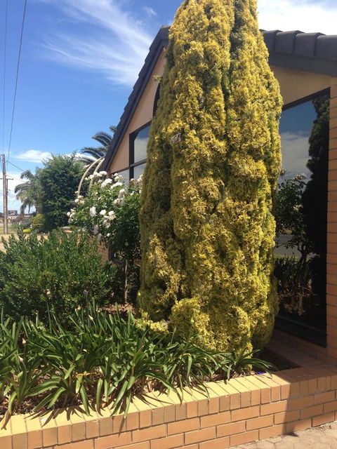 Aviators Lodge - Accommodation in Surfers Paradise 9