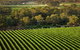 The Reserve Barossa Valley - thumb 1