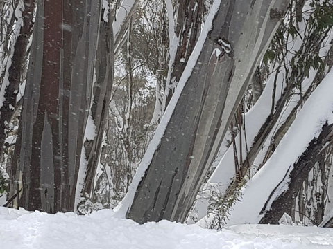 CHILL-OUT - Thredbo - Accommodation in Surfers Paradise 30