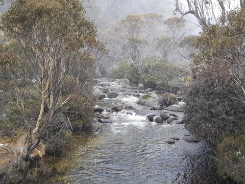 CHILL-OUT - Thredbo - Accommodation in Surfers Paradise 23