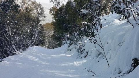 CHILL-OUT - Thredbo - Accommodation in Surfers Paradise 17