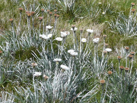 CHILL-OUT - Thredbo - Accommodation in Surfers Paradise 36