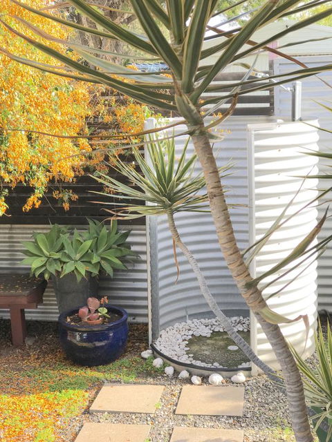 Milly\'s Middleton - Pet-friendly - Accommodation in Surfers Paradise 23