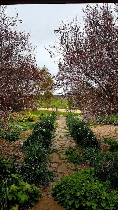 D2 At Watervale - Accommodation in Surfers Paradise 4