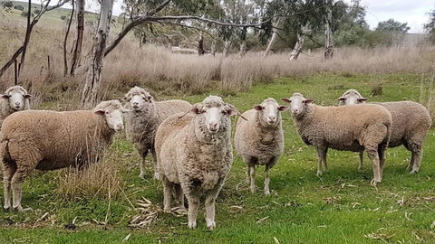 D2 At Watervale - Accommodation in Surfers Paradise 24