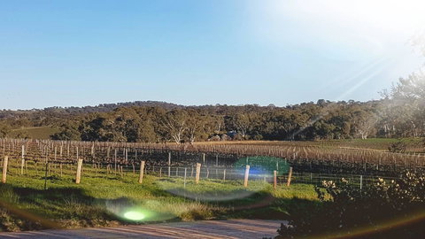 D2 At Watervale - Accommodation in Surfers Paradise 23