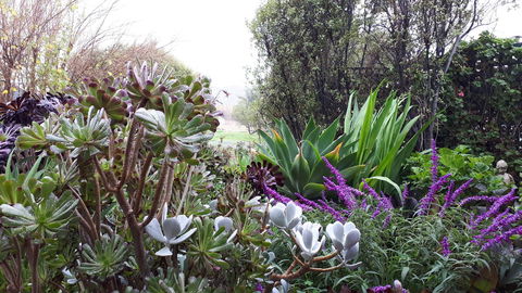 Linger Longer Vineyard - Accommodation in Surfers Paradise 15