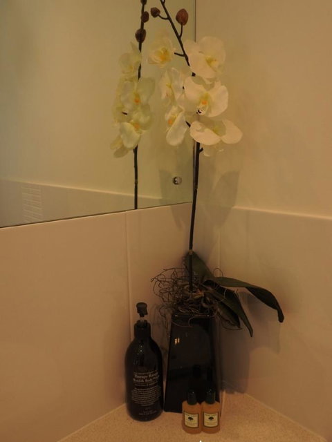 Sanctuary In The Valley - Accommodation in Surfers Paradise 21