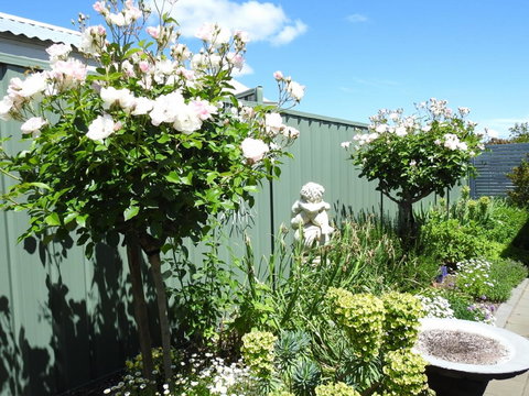 Sanctuary In The Valley - Accommodation in Surfers Paradise 13