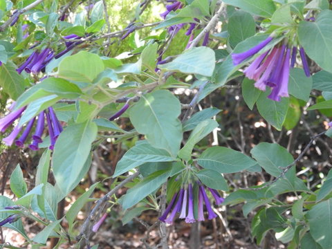 A Secret Garden - Accommodation in Surfers Paradise 11