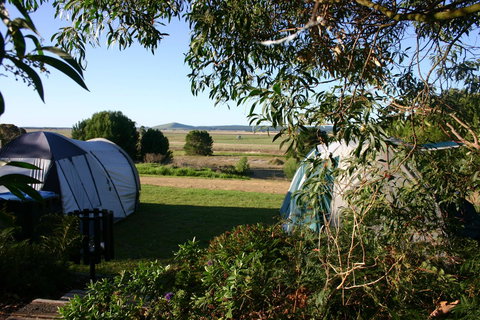 Millicent Hillview Caravan Park - Accommodation in Surfers Paradise 43