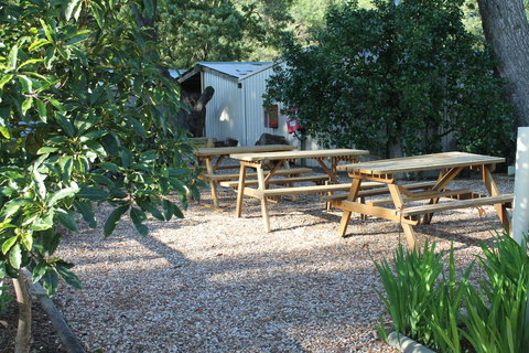 Millicent Hillview Caravan Park - Accommodation in Surfers Paradise 9