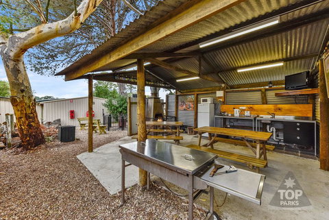 Millicent Hillview Caravan Park - Accommodation in Surfers Paradise 20