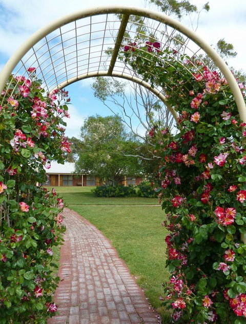 Coonawarra Place Motor Inn - Accommodation in Surfers Paradise 20