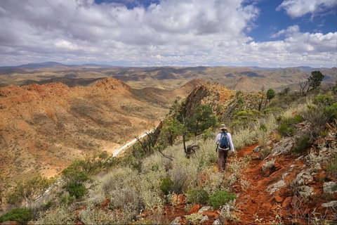 Arkaroola Wilderness Sanctuary - Accommodation in Surfers Paradise 4
