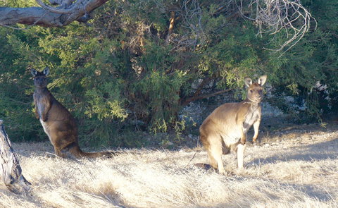The Cape - Accommodation in Surfers Paradise 10