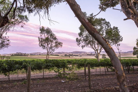 Jasmine\'s Barossa Valley Cottage - Accommodation in Surfers Paradise 19