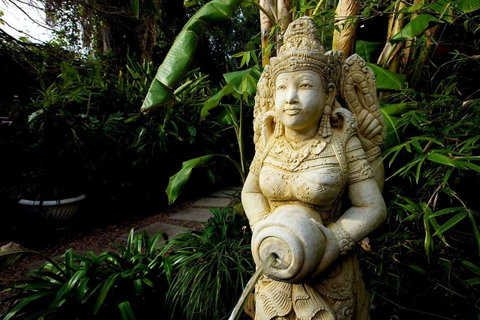 The Lotus Eater - Accommodation in Surfers Paradise 18
