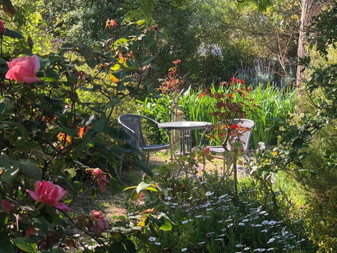 Treasured Memories Cottage - Accommodation in Surfers Paradise 17