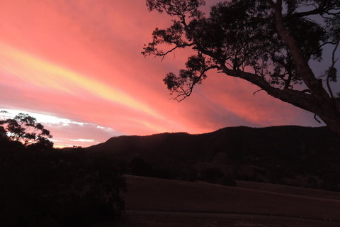 Wozza's B&B - Accommodation in Surfers Paradise 5