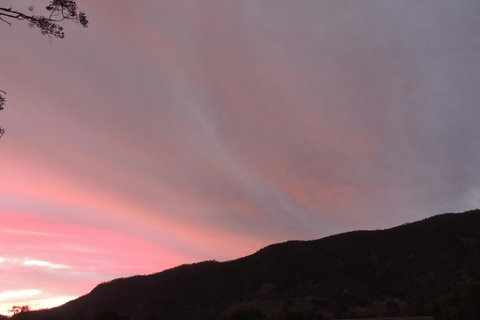 Wozza's B&B - Accommodation in Surfers Paradise 2