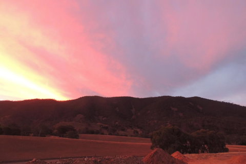 Wozza's B&B - Accommodation in Surfers Paradise 6