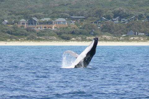 Pullman Bunker Bay Resort Margaret River - Accommodation in Surfers Paradise 25