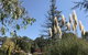 Forest Lodge Resort - thumb 24