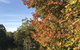 Forest Lodge Resort - thumb 32
