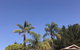 Forest Lodge Resort - thumb 0