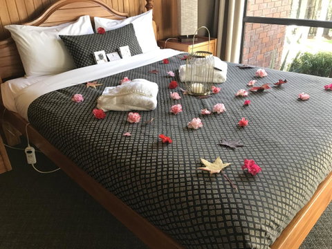 Forest Lodge Resort - Accommodation in Surfers Paradise 3