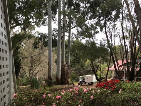 Forest Lodge Resort - Accommodation in Surfers Paradise 11