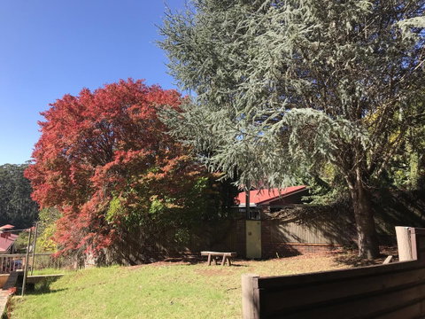 Forest Lodge Resort - Accommodation in Surfers Paradise 42