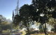 Forest Lodge Resort - thumb 21