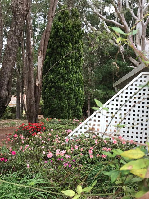 Forest Lodge Resort - Accommodation in Surfers Paradise 7