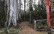 Forest Lodge Resort - thumb 28