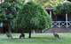 Forest Lodge Resort - thumb 1