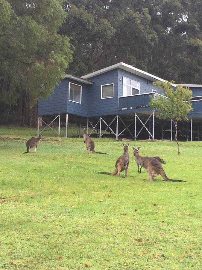 Denmark WA Accommodation in Surfers Paradise