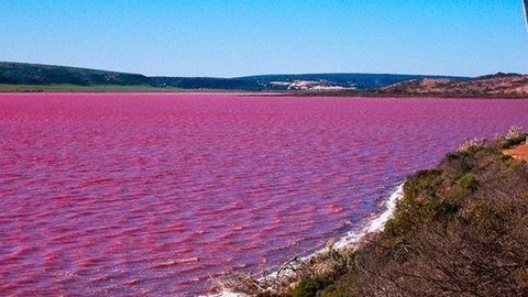 Kanga Cottage - Accommodation in Surfers Paradise 38