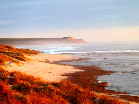 Kanga Cottage - Accommodation in Surfers Paradise 26