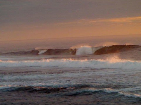 Kanga Cottage - Accommodation in Surfers Paradise 42