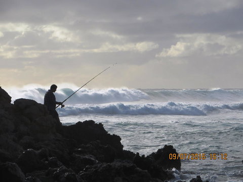 Kanga Cottage - Accommodation in Surfers Paradise 44