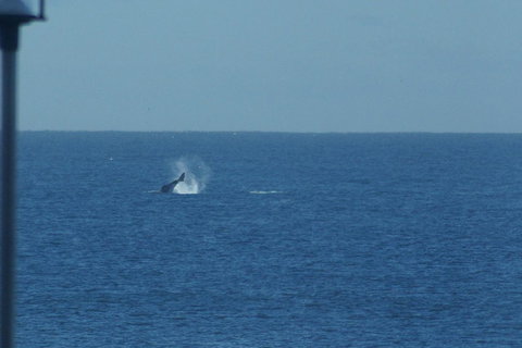 Noah\'s On The Beach - Accommodation in Surfers Paradise 13