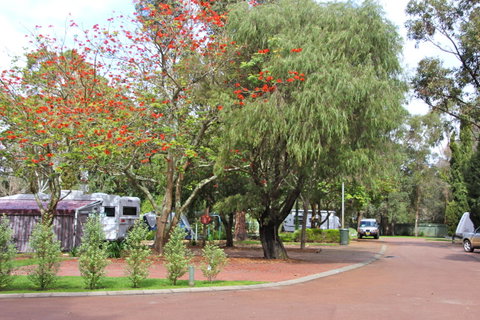Margaret River Tourist Park - Accommodation in Surfers Paradise 43