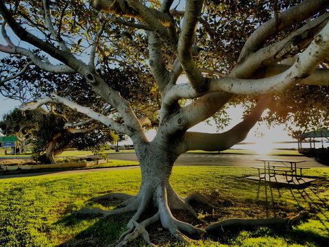 Lazy Lobster Holiday Units & Chalets - Accommodation in Surfers Paradise 34