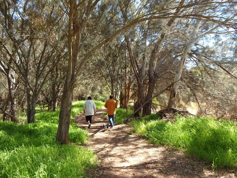 Lazy Lobster Holiday Units & Chalets - Accommodation in Surfers Paradise 26