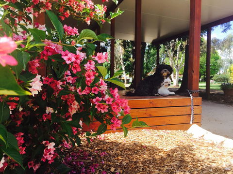 Armidale Tourist Park - Accommodation in Surfers Paradise 34